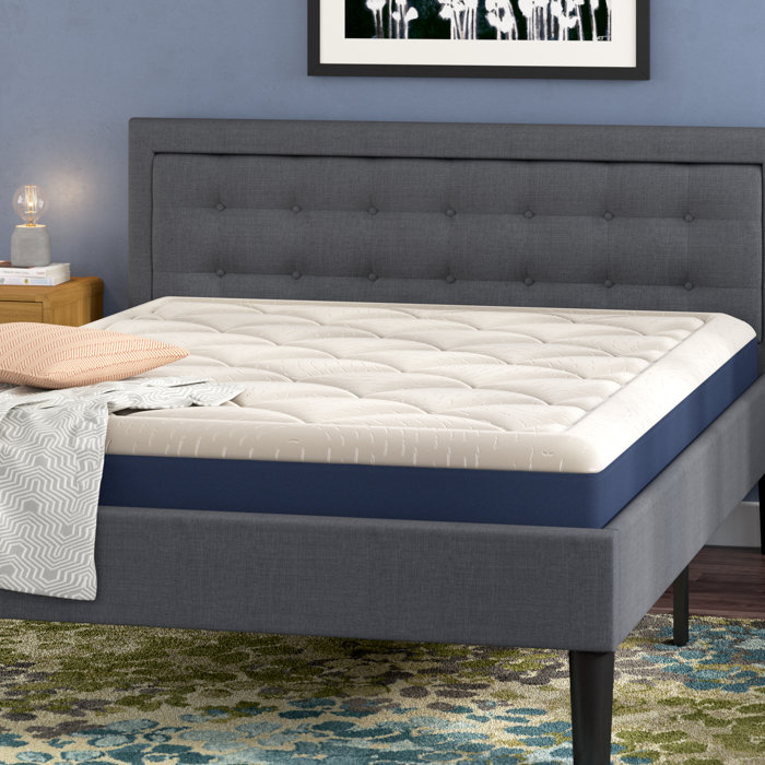 Alwyn Home Fresnel 8" Medium Memory Foam Mattress & Reviews Wayfair